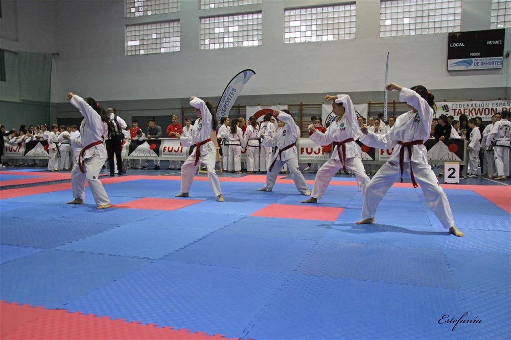 Copa Seul 2018 (309).jpg